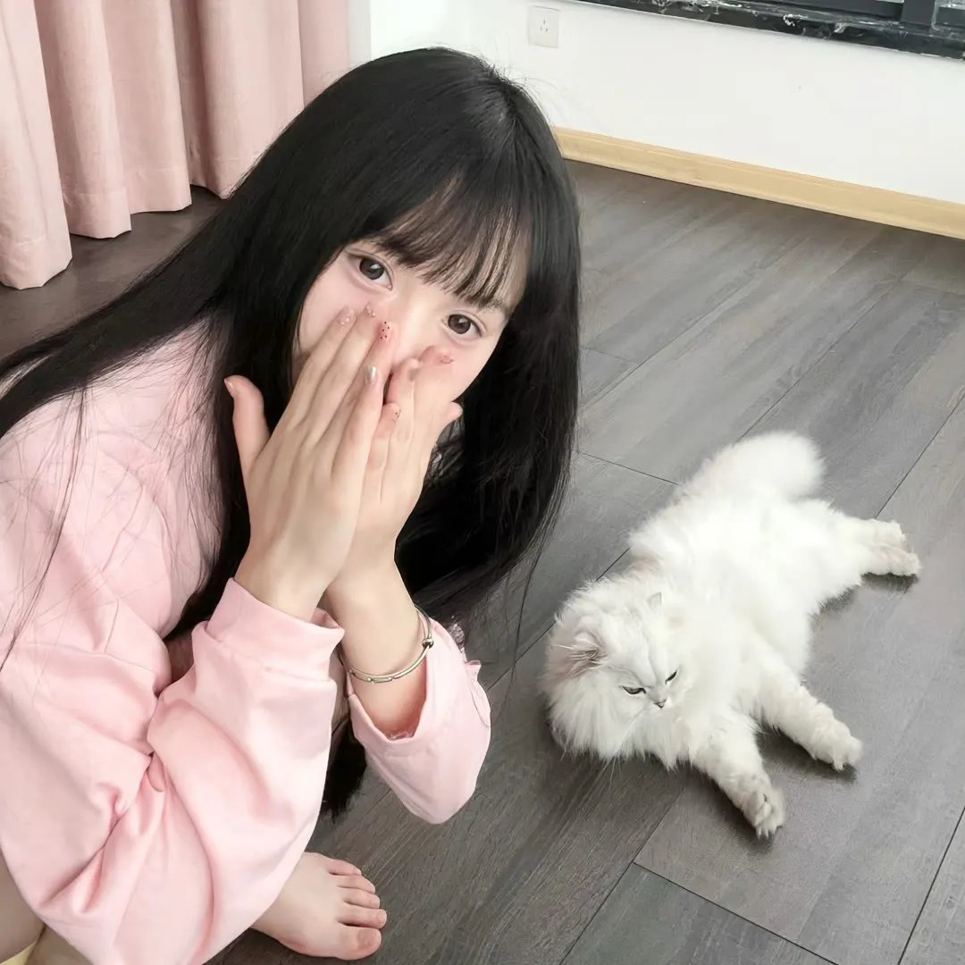 狼的孩子雨和雪